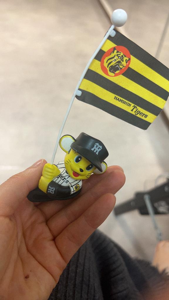 「岸えり」の写真