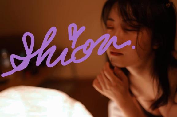 「しおん」の写真