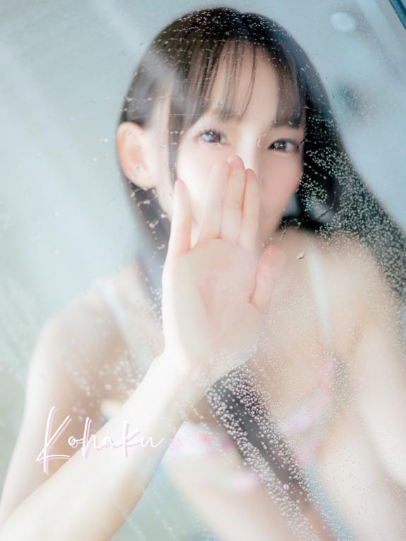 「こはく」の写真