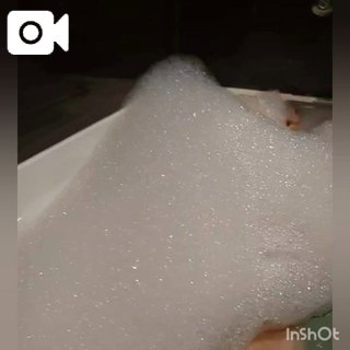 「りんか」の写真