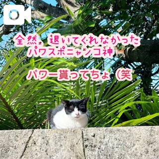 「まなか」の写真