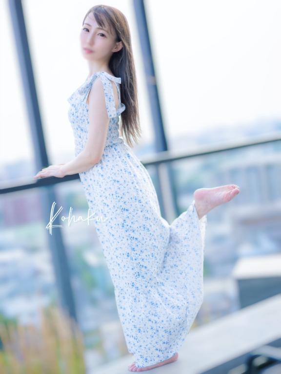 「こはく」の写真