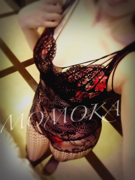 「ももか」の写真