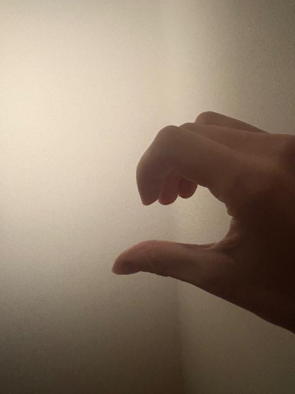 「いちご」の写真