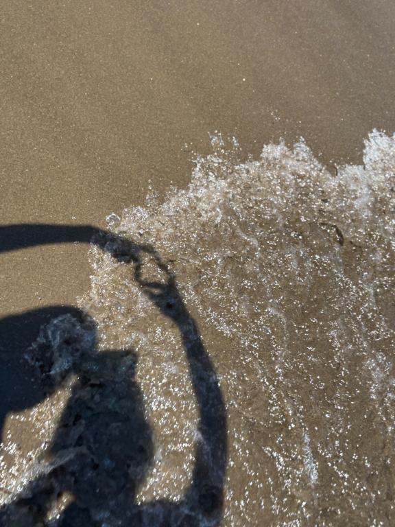 「あいり」の写真