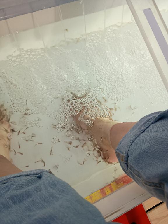 「さくら」の写真