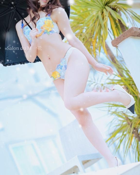 「一花」の写真