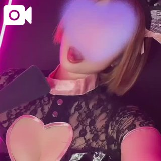 「楓」の写真