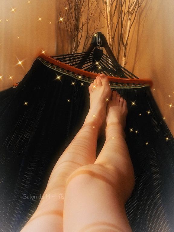 「一花」の写真