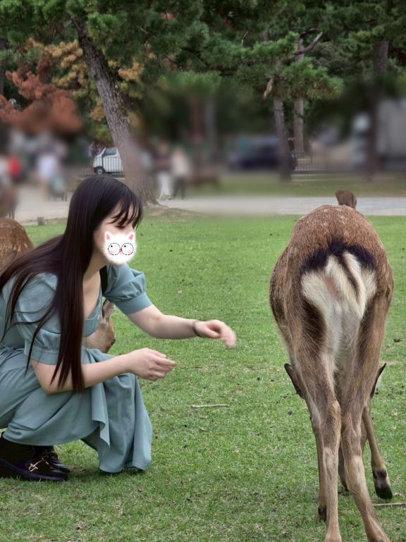 「青葉」の写真