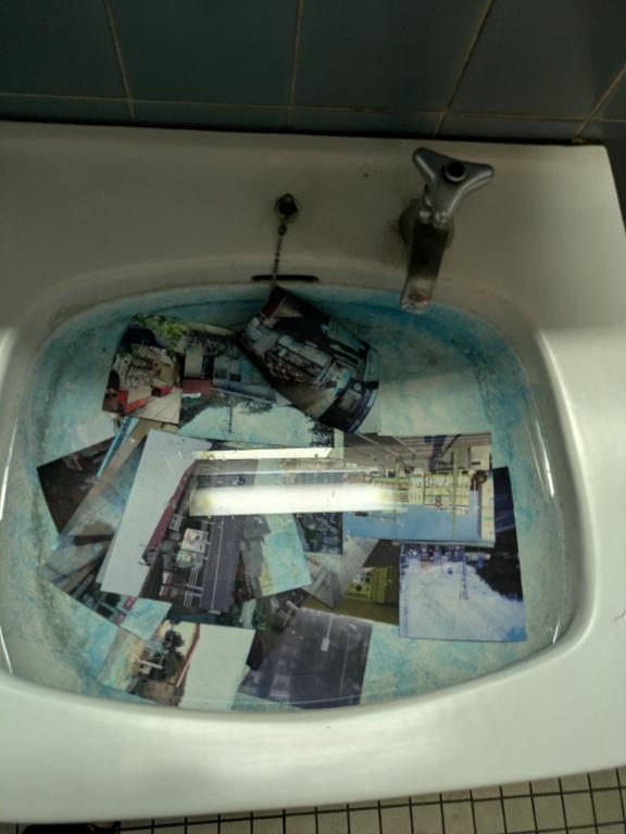「ちふゆ」の写真