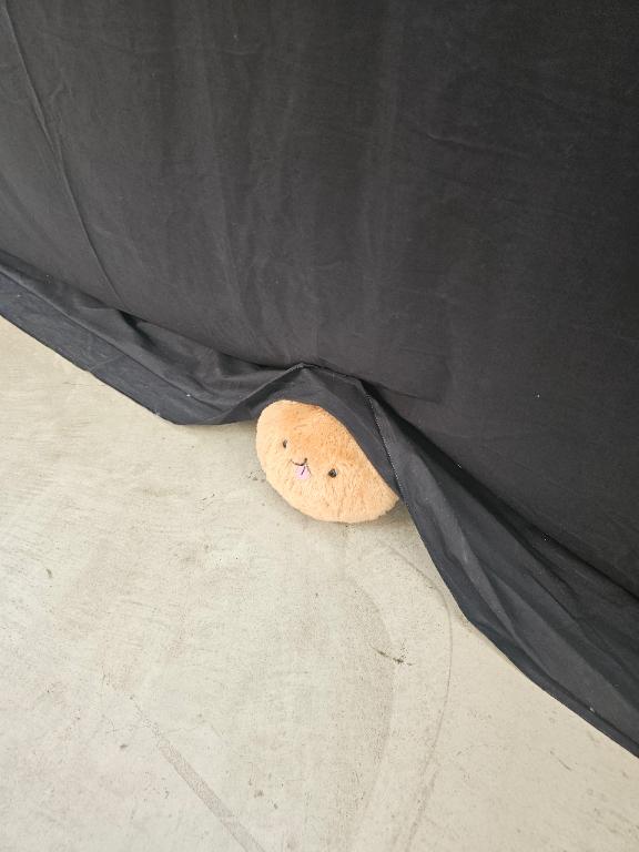 「ゆあ」の写真