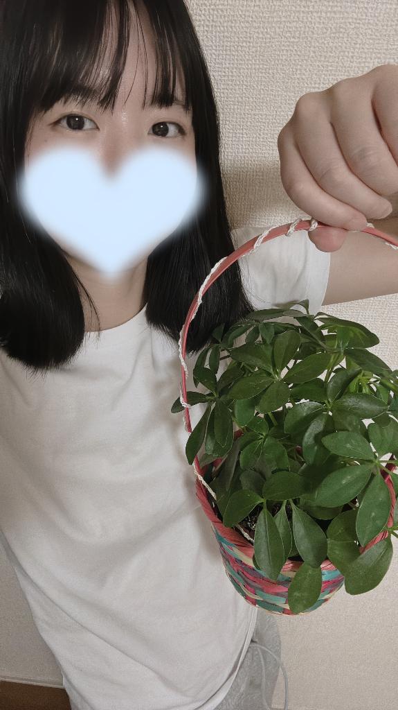 「りん」の写真