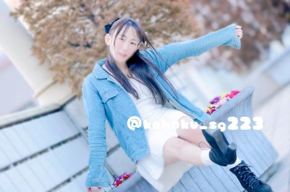 「こはく」の写真