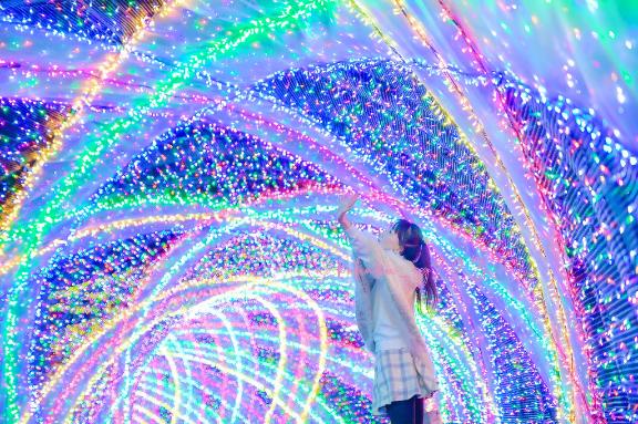 「こはく」の写真