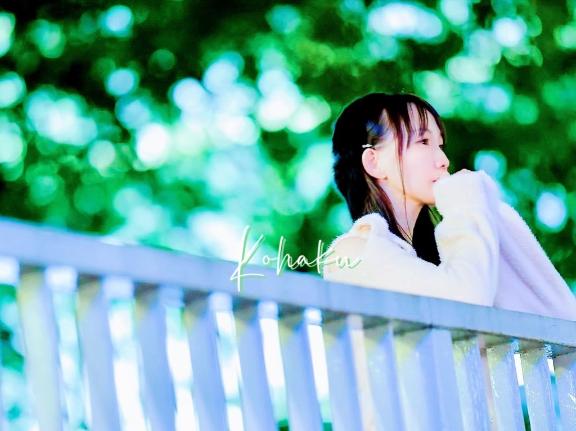 「こはく」の写真