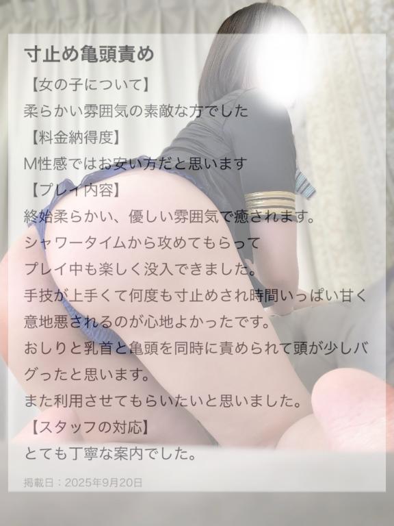 「楓」の写真
