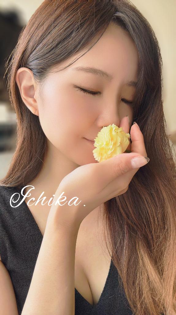 「いちか」の写真