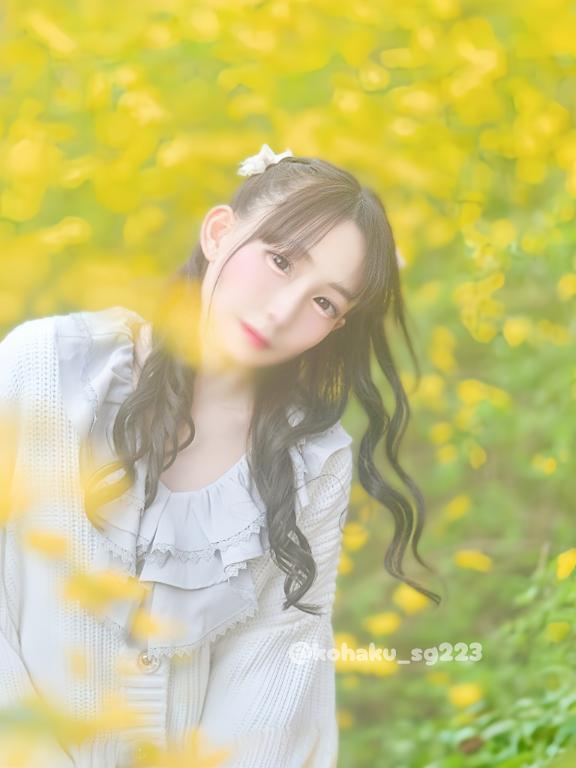 「こはく」の写真