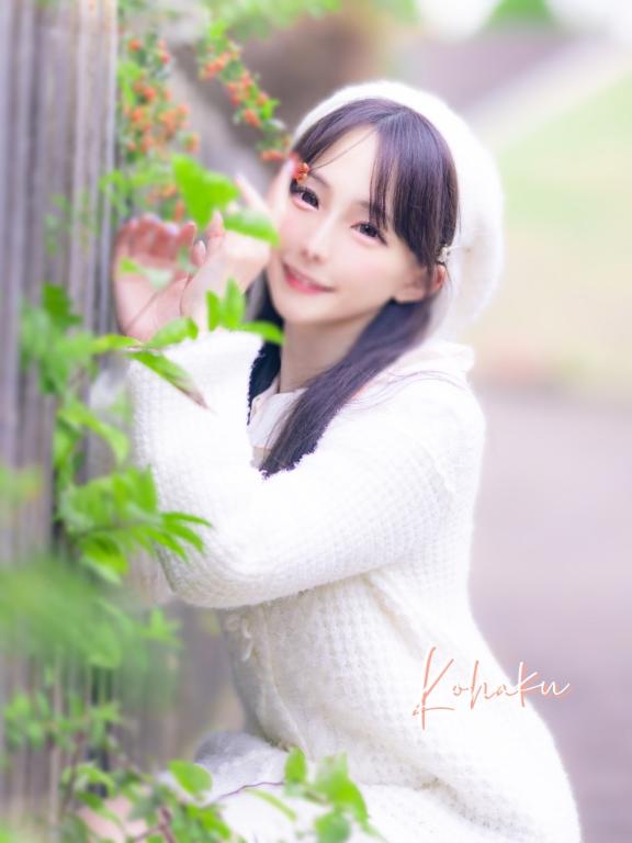 「こはく」の写真