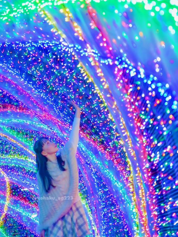 「こはく」の写真