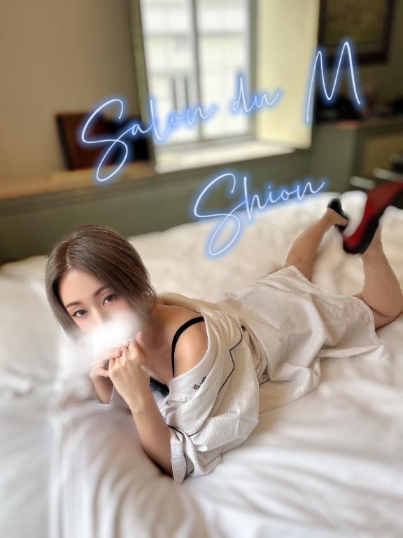 「しおん」の写真