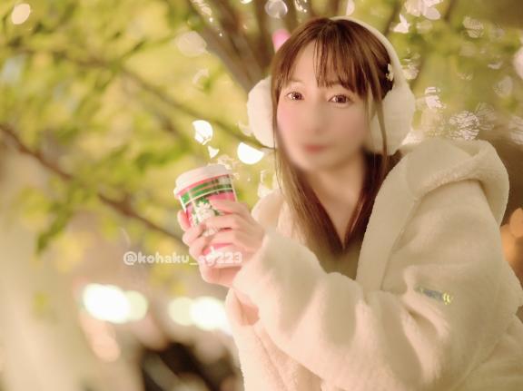 「こはく」の写真