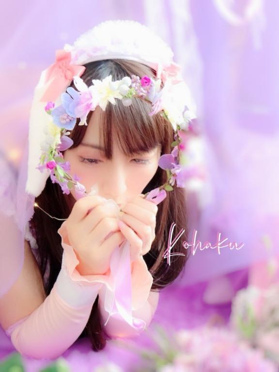 「こはく」の写真