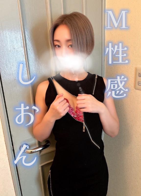 「しおん」の写真