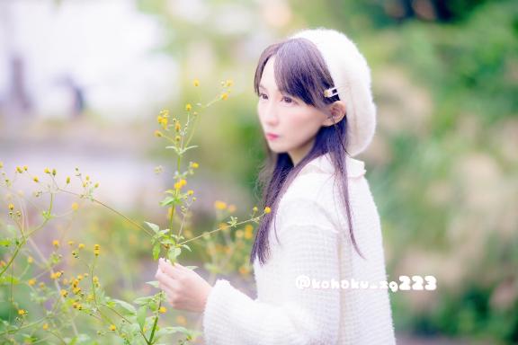 「こはく」の写真