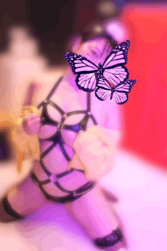 「ゆり」の写真