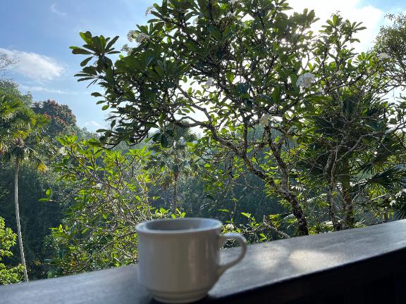 「さおり」の写真