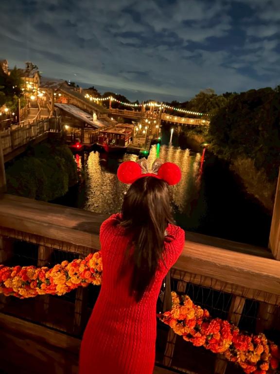 「岸えり」の写真