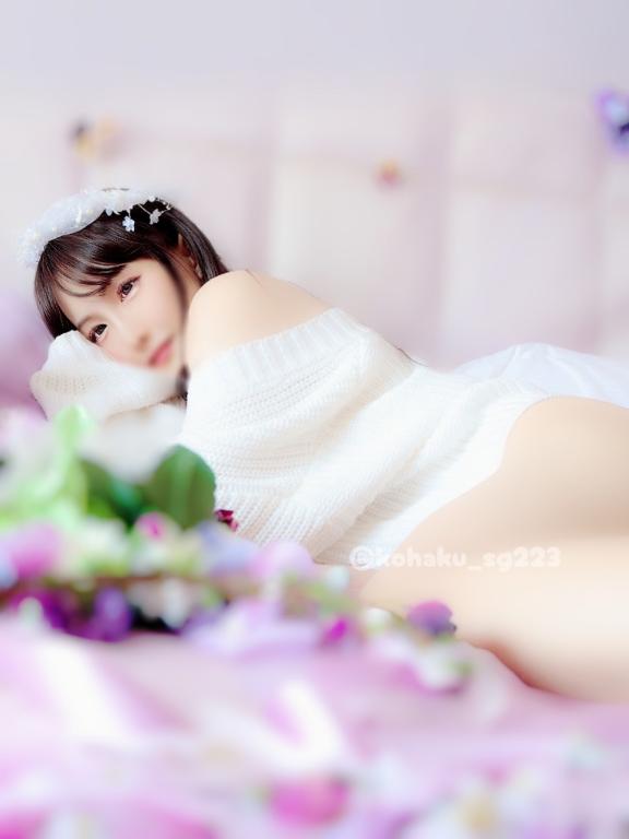 「こはく」の写真