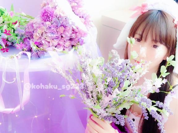 「こはく」の写真