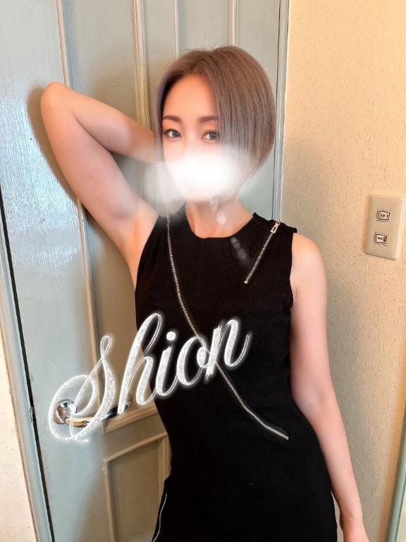 「しおん」の写真