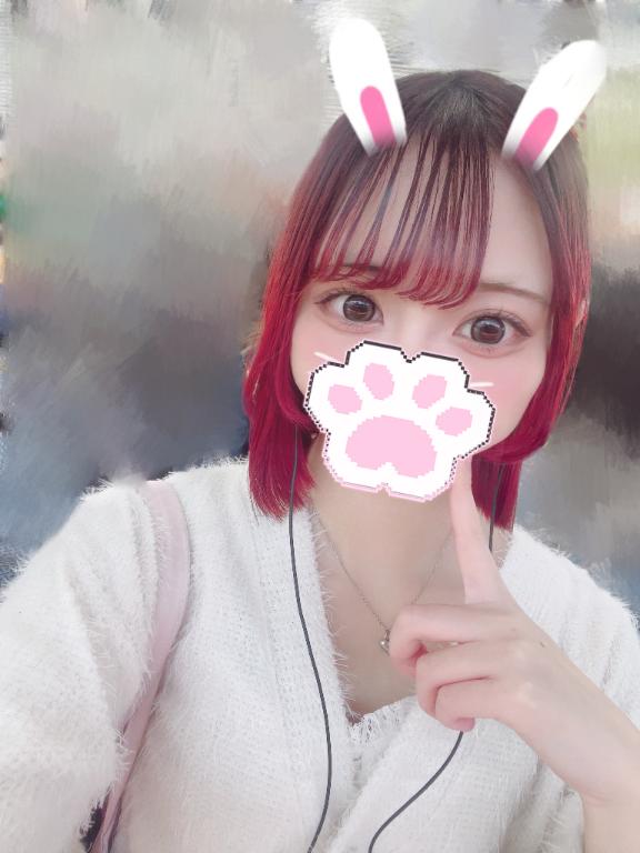 「ひびき」の写真