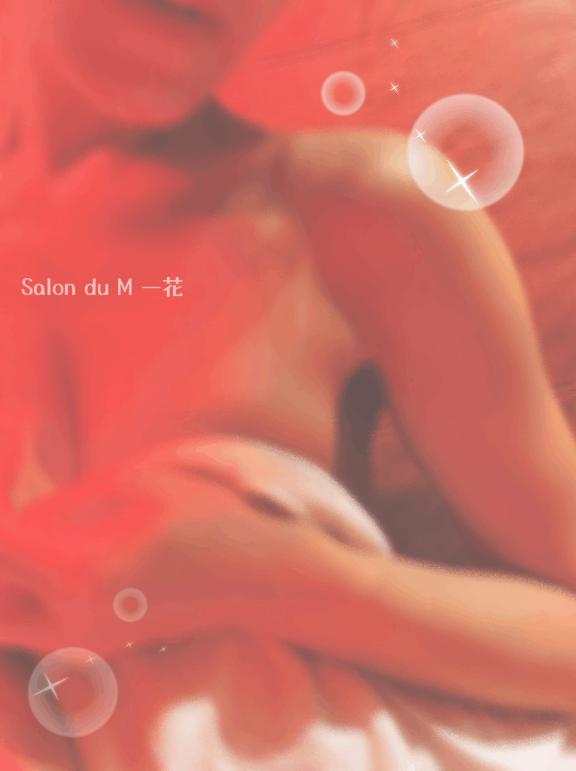 「一花」の写真