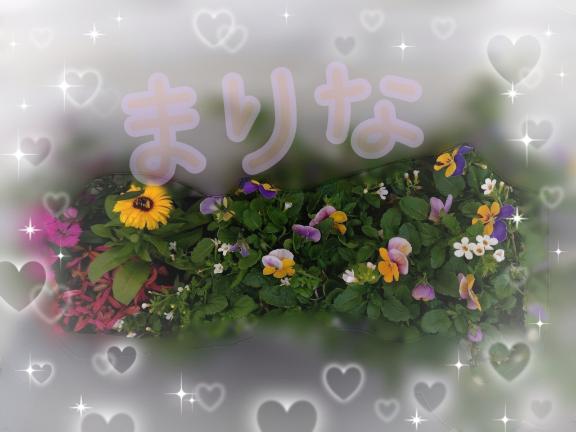 「まりな」の写真