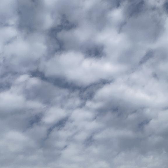 「みづき」の写真