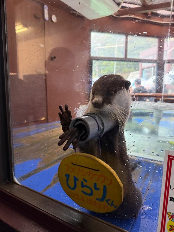 「岸えり」の写真