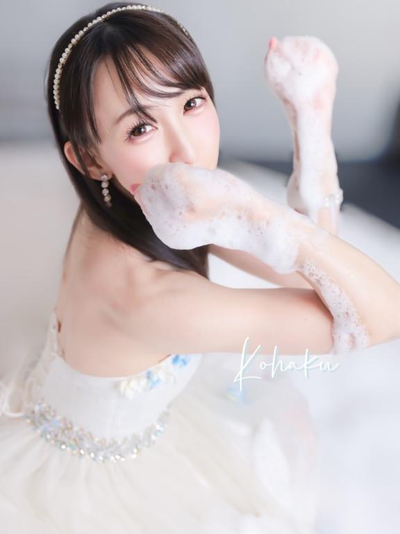 「こはく」の写真