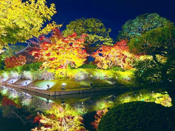 「りおな」の写真