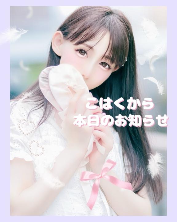 「こはく」の写真