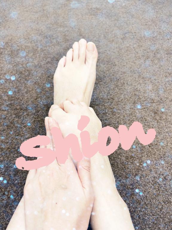 「しおん」の写真