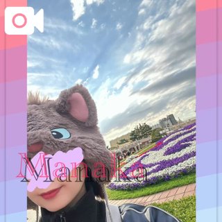 「まなか」の写真