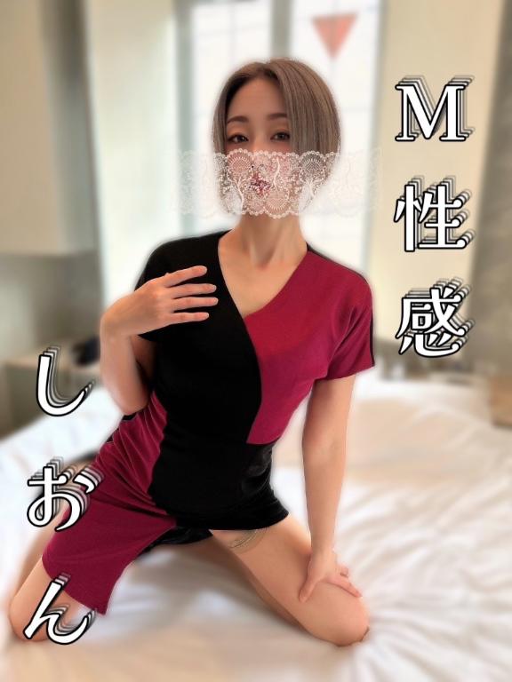 「しおん」の写真