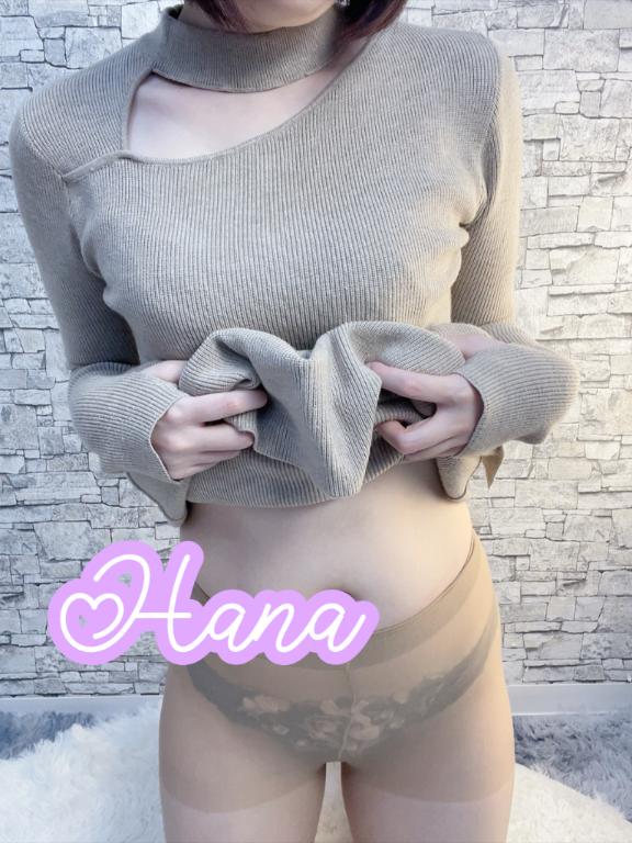 「はな」の写真