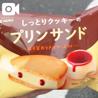 「れい」の写真