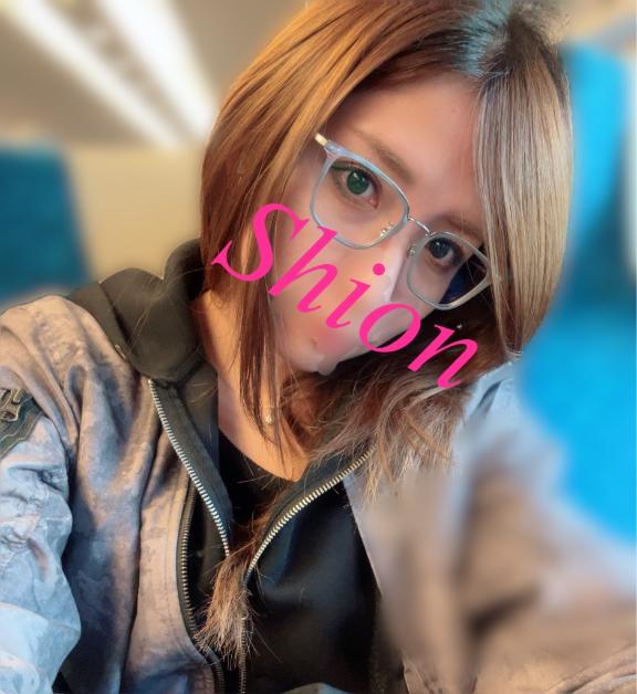 「紫苑（しおん）」の写真